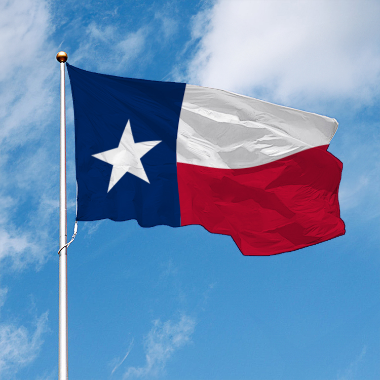 Texas State Flag